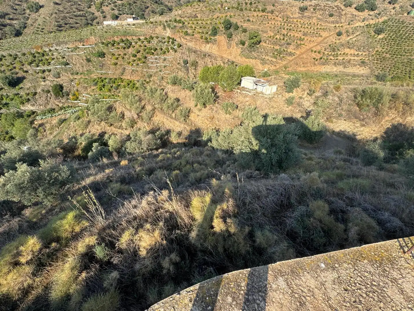 Terreno rústico en venta en Canillas de Aceituno, imagen 6