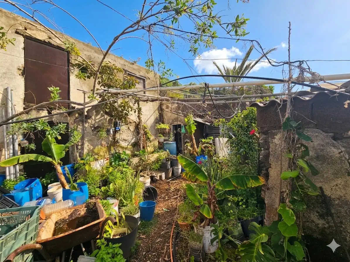 Garden of Country homes for sale in Icod de los Vinos