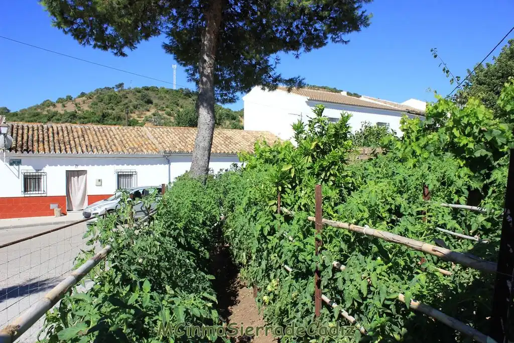 Casa o chalet en venta en de Cádiz, Algodonales