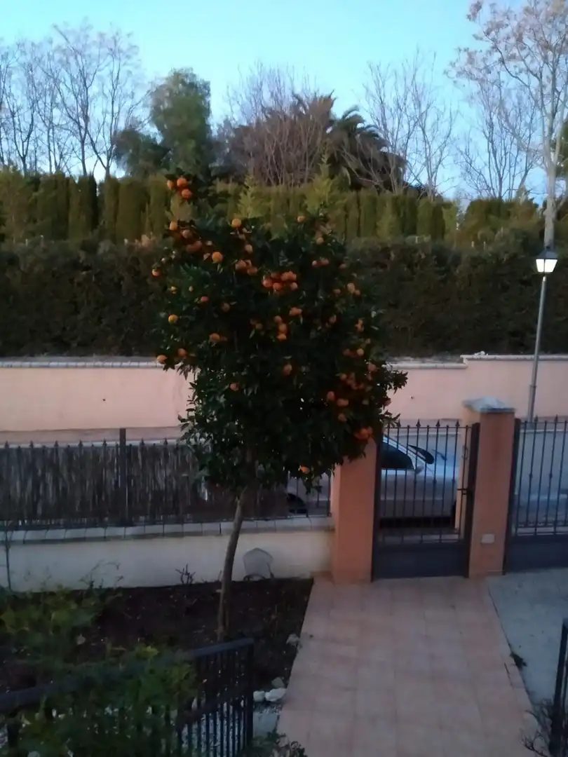 Xalet amb piscina en venda a Úbeda, imagen 4
