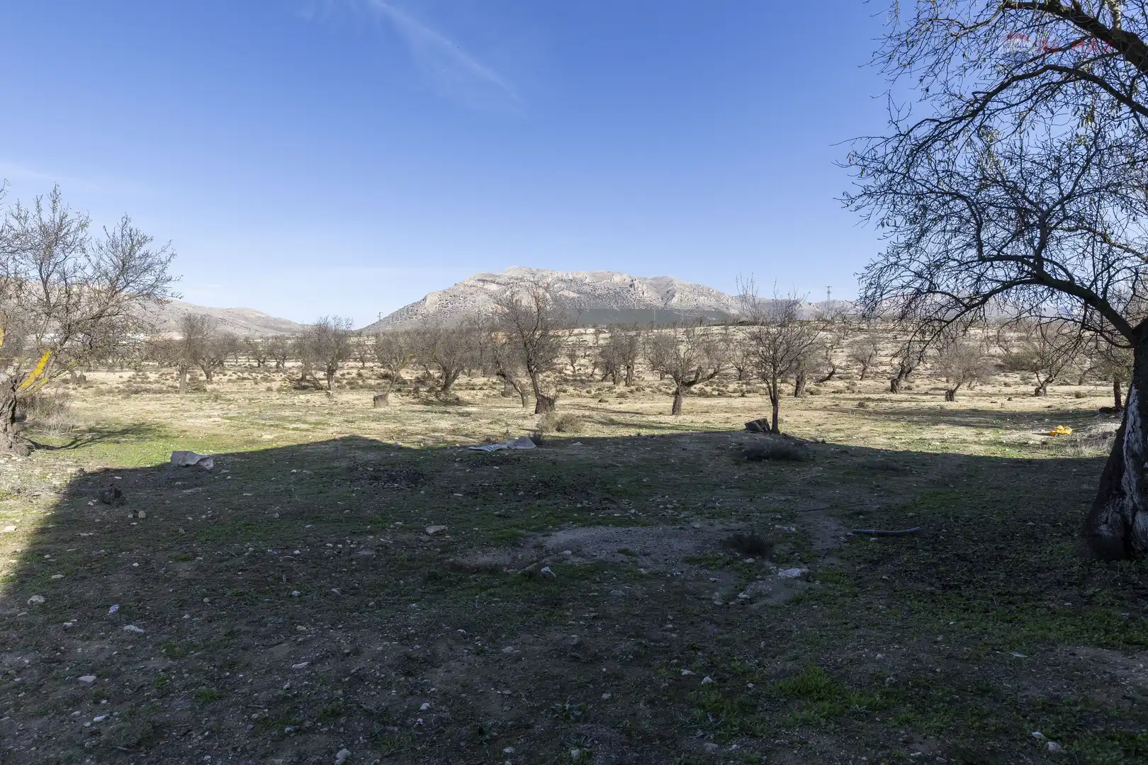 Rural land for sale in Paraje el Vivero 1, imagen 7