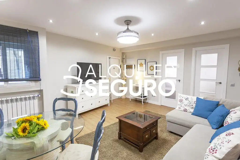 Pis de lloguer a de Ruiz Palacios, Berruguete