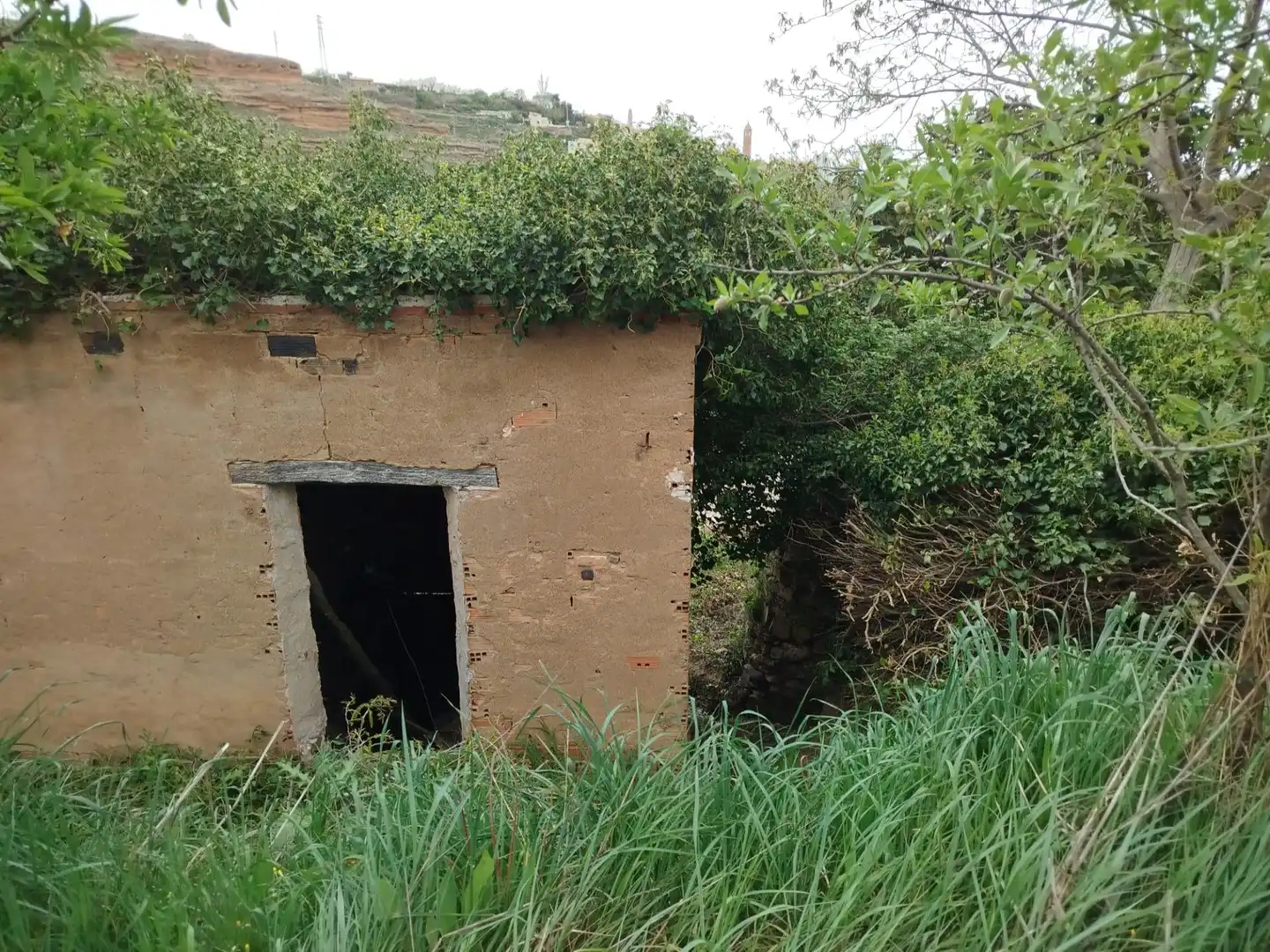 Rural land for sale in Tarazona, imagen 10