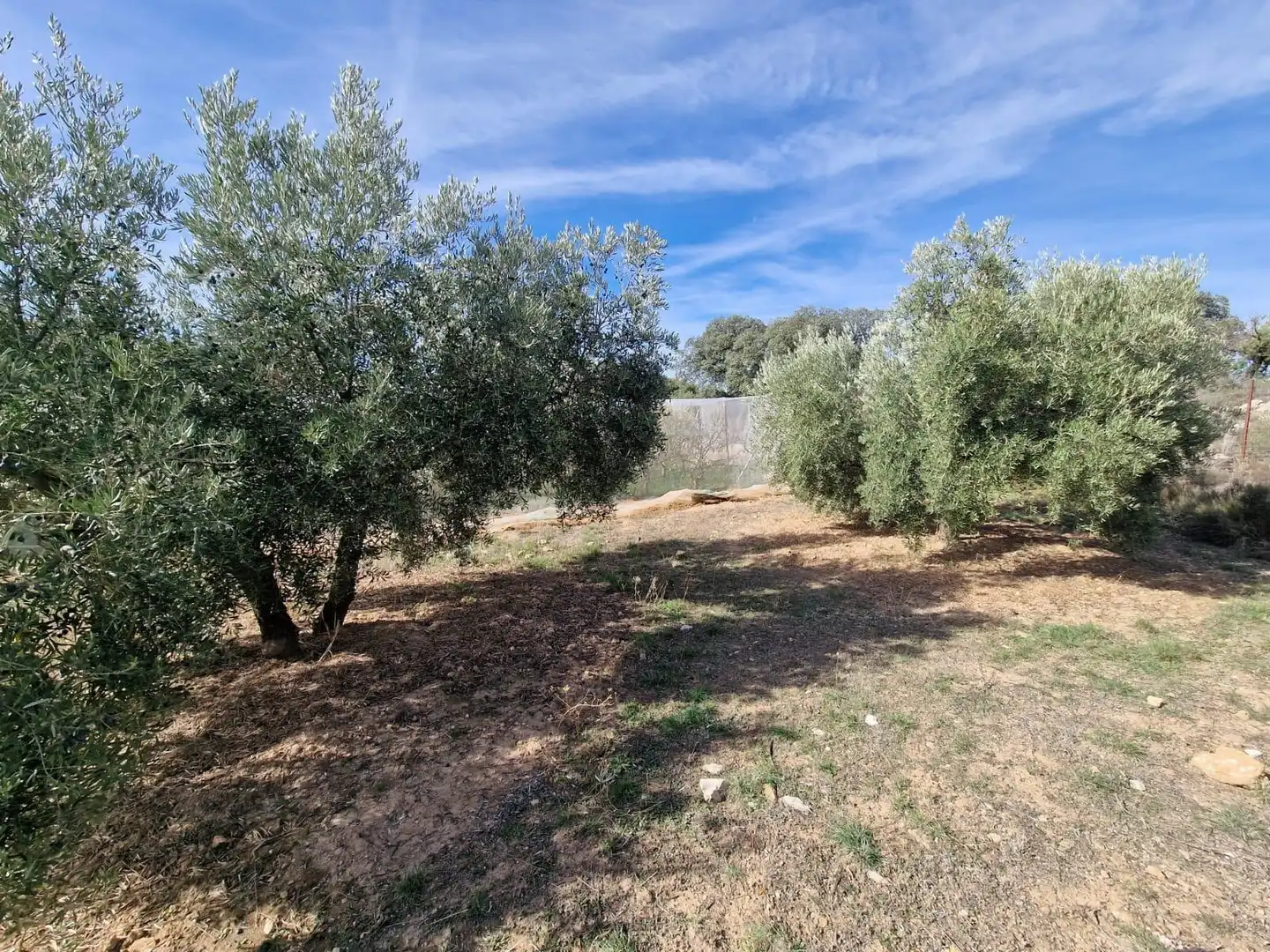 Maison rustique avec jardin à vendre à Cogollos de la Vega, imagen 46
