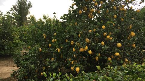 Foto 3 de Casa o xalet en venda a Els Reguers, C15, Roquetes, Tarragona