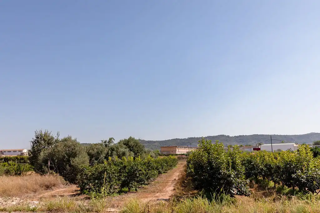 Commercial properties for sale in Llombai