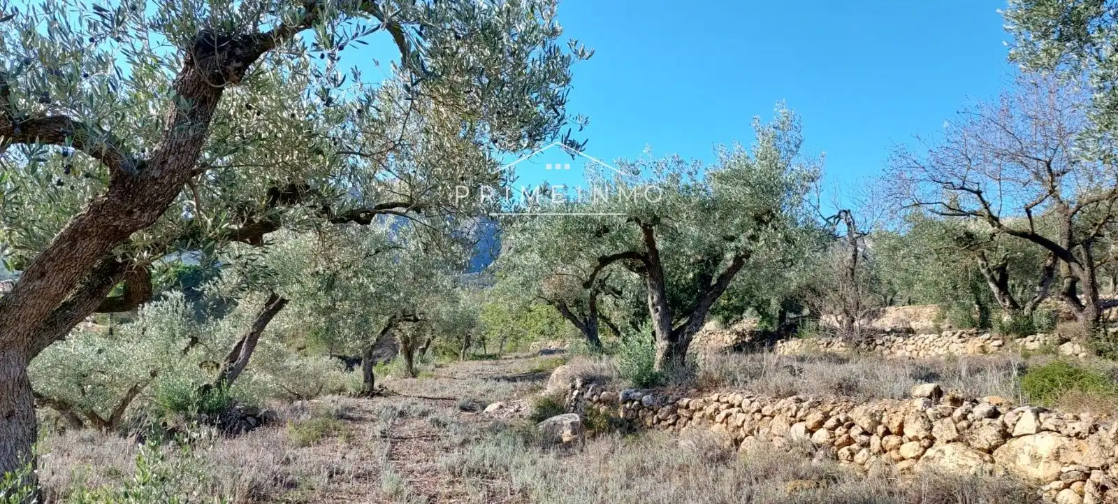 Terrain rustique à vendre à Rasquera, imagen 14