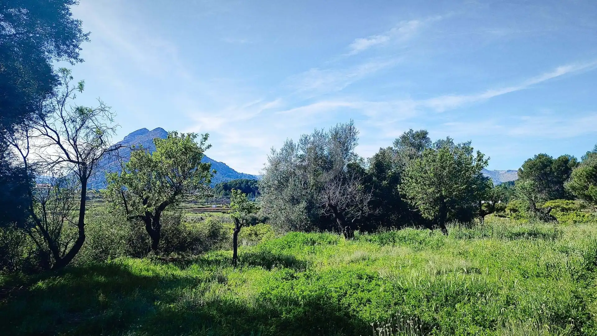 Residential for sale in Murla