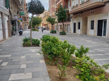 Individual en venta en Elche ciudad