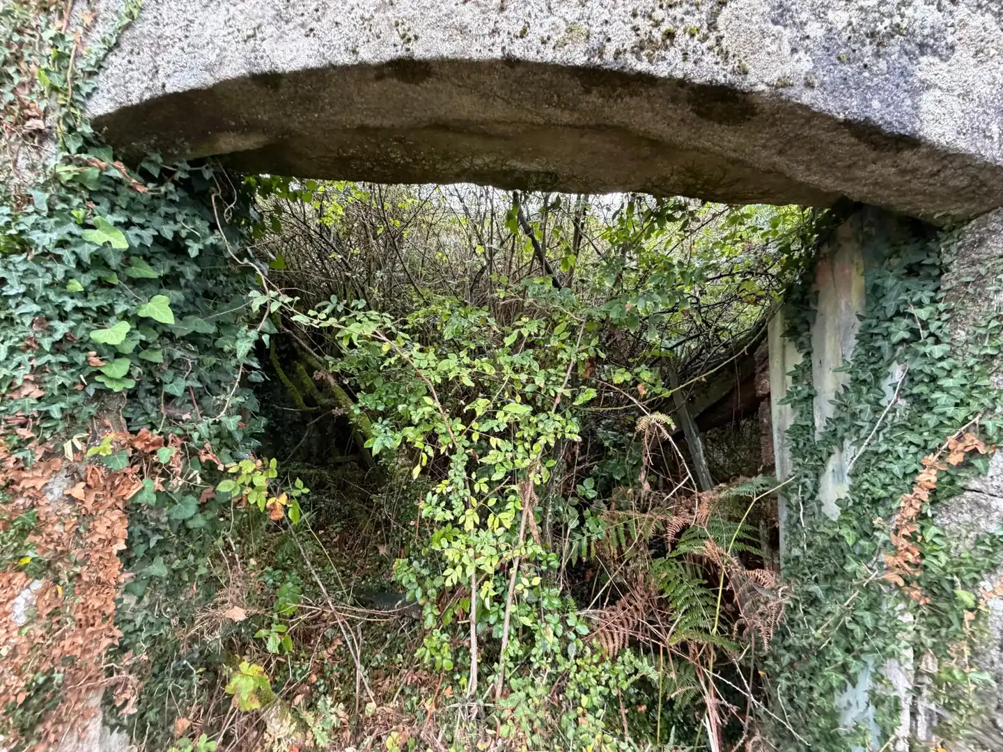 Casa amb jardí en venda a Lugar Carballeda, imagen 7