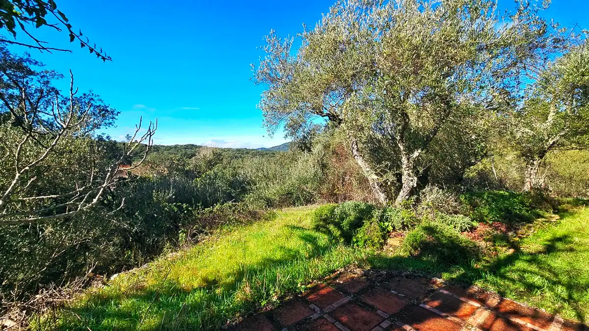 Jardí de Casa o xalet en venda en Los Marines amb Jardí privat, Terrassa i Traster