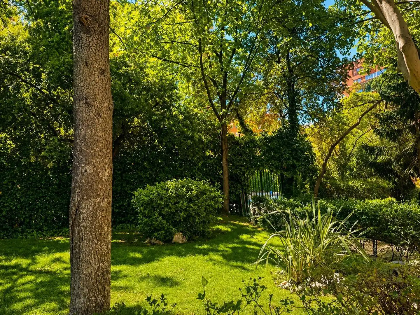 Jardí de Pis en venda en Madrid amb Aire condicionat, Calefacció i Parquet