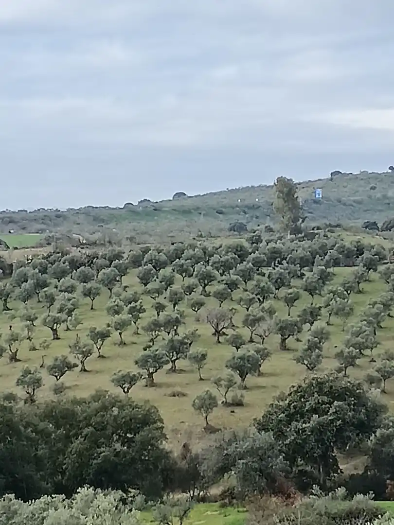 Terreni e lotti in vendita a N/A, imagen 6