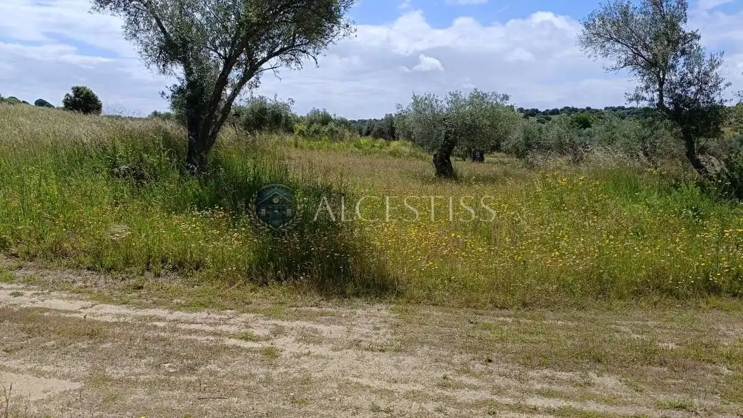 Land for sale in Méntrida