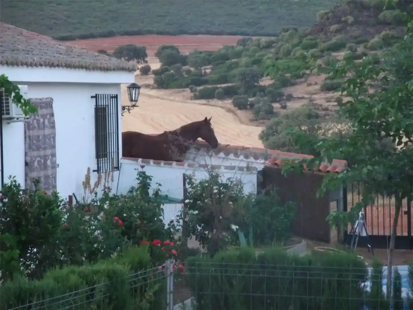Vista exterior de Piso en venta en Piedrabuena