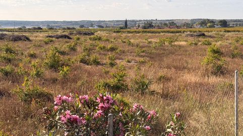 Foto 4 de Residencial en venta en Valverde, Elche / Elx