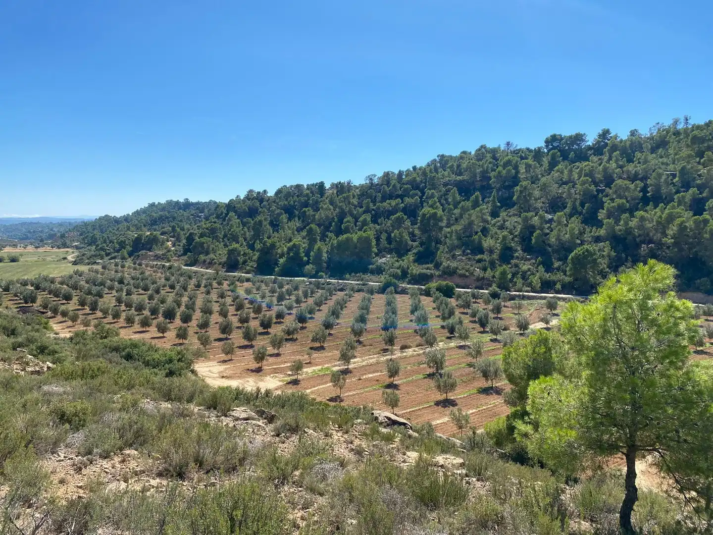 Casa o chalet en venta en Alcañiz con Terraza