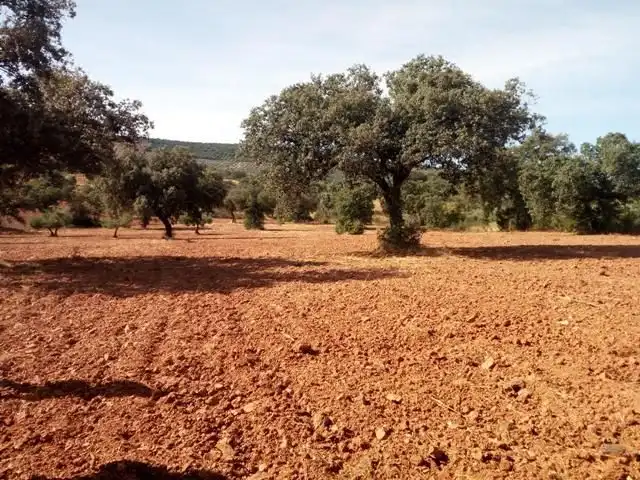 Terreny residencial en venda a Villanueva del Duque