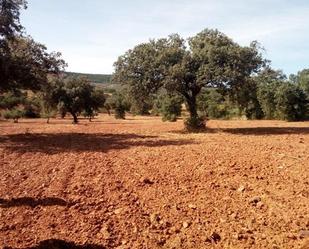 Residencial en venda en Villanueva del Duque