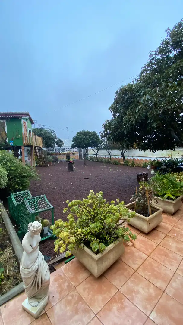 Jardín de Casa o chalet en venta en San Cristóbal de la Laguna con Jardín privado, Terraza y Trastero