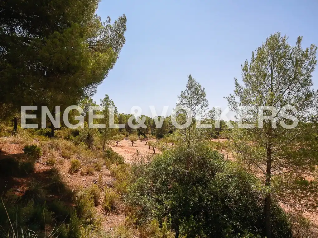 Finca rústica en venda a Requena