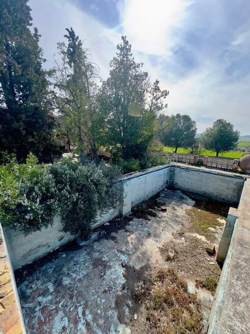 Casa rústica amb terrassa en venda a Torrenueva, imagen 65
