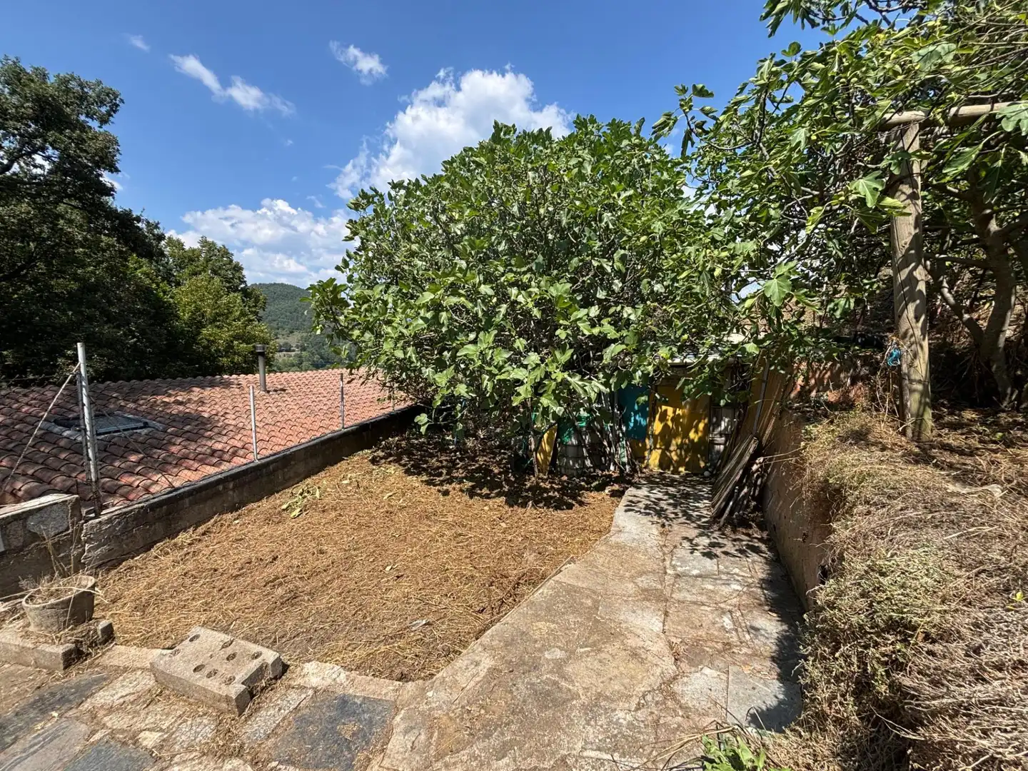 Finca rústica en venta en Ripoll