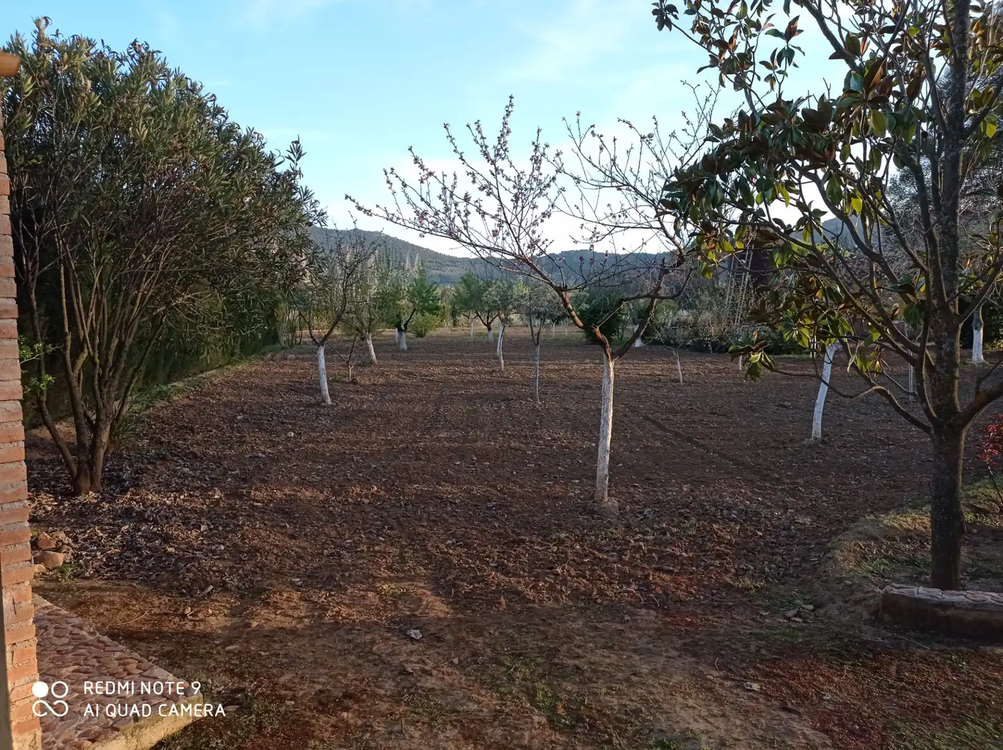 Chalet con jardín en venta en Porzuna, imagen 18