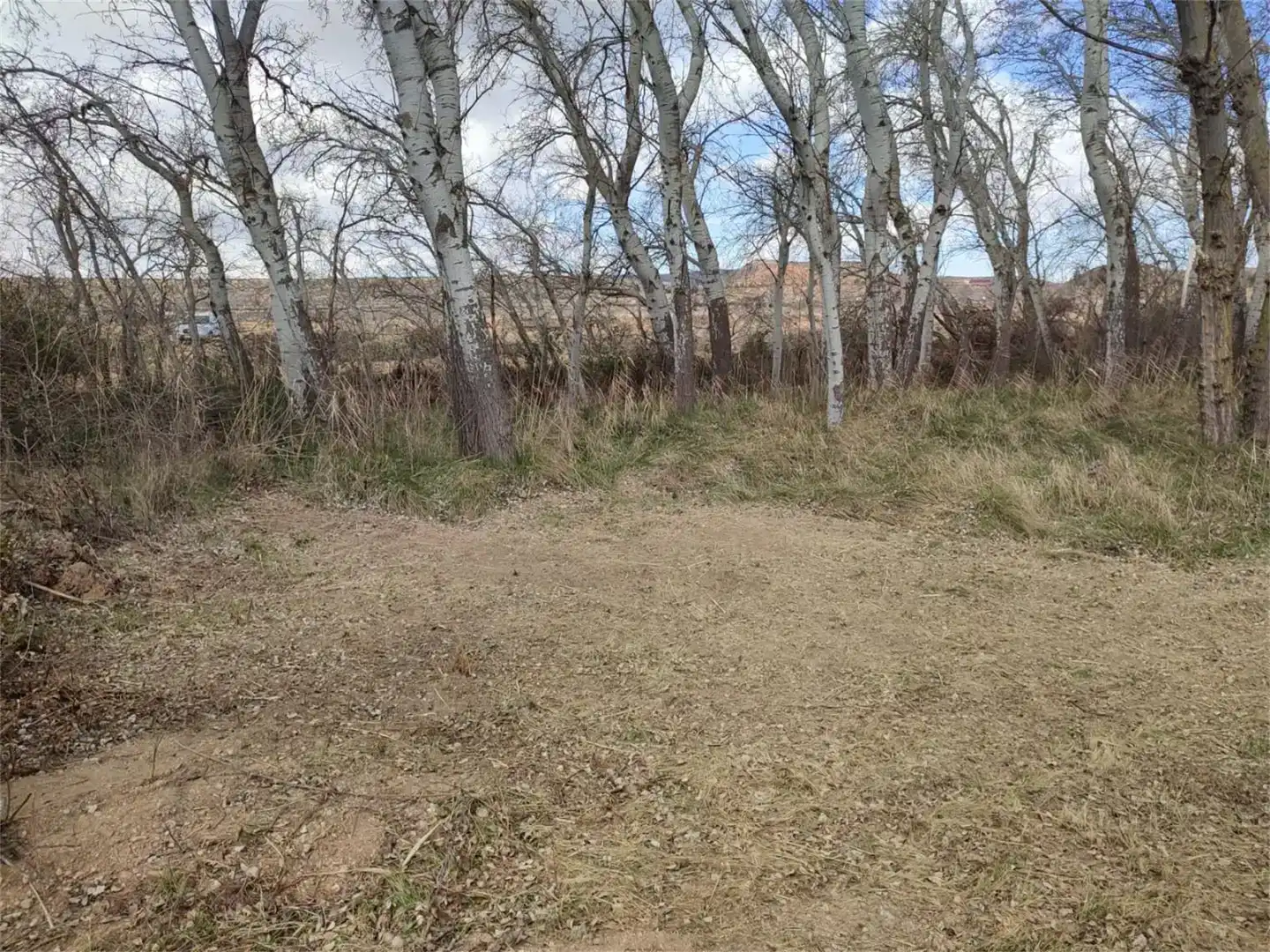 Land for sale in Botorrita