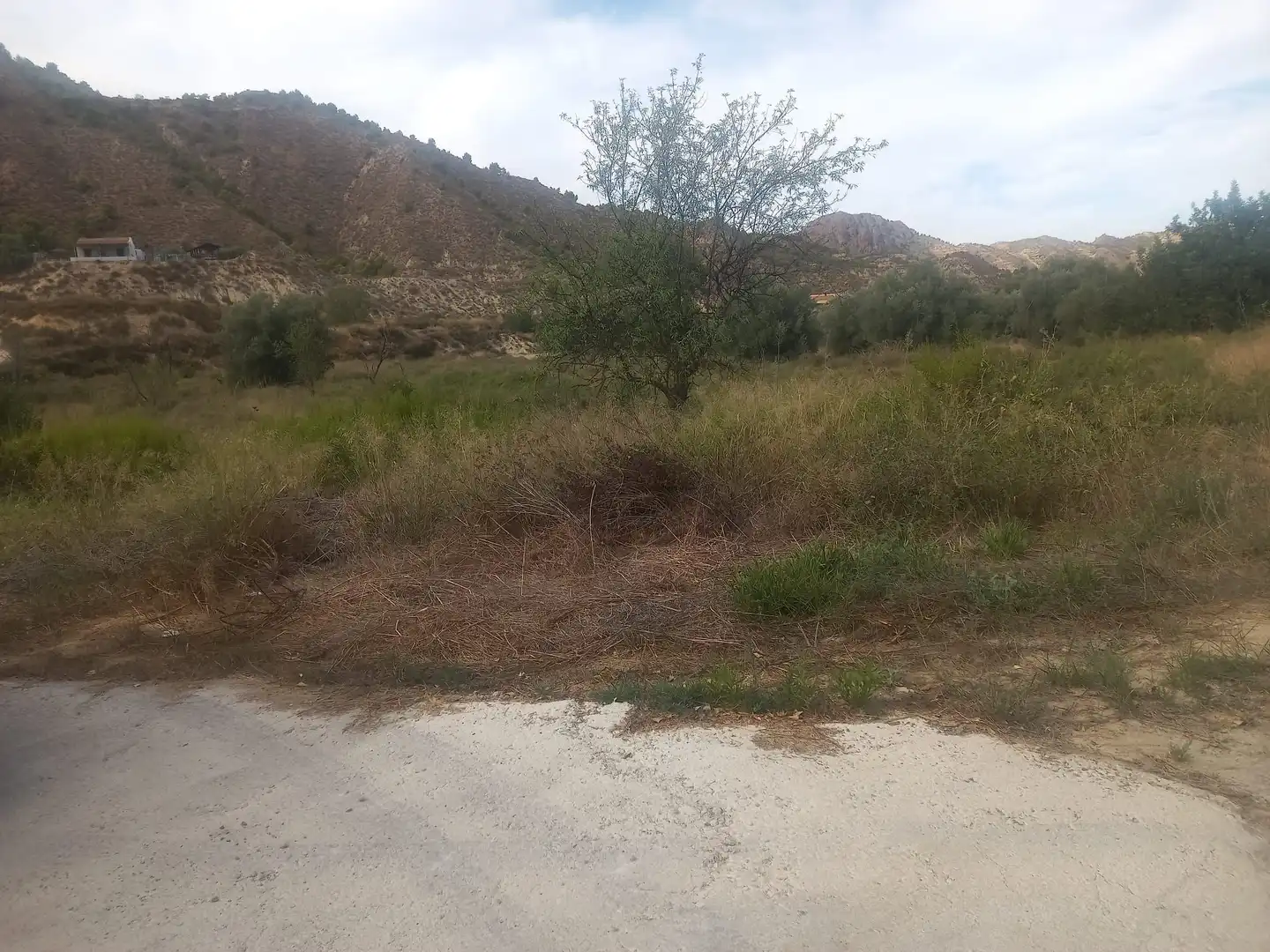 Terreny rústic en venda a Pedanías Este, imagen 3