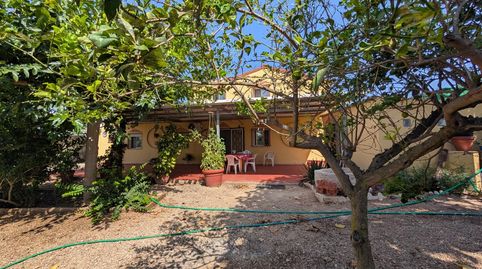 Foto 4 de Finca rústica en venta en Alcanar, Tarragona