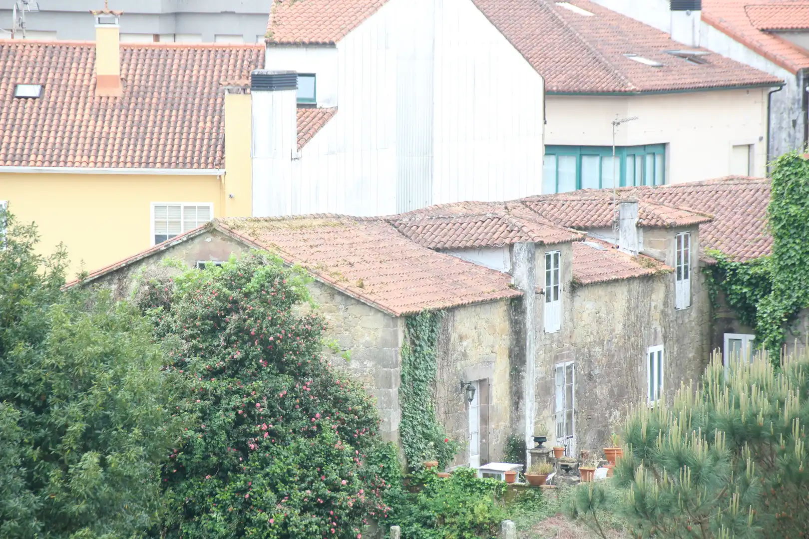 Wohnbaugrundstück zum Verkauf in Rúa San Loís 25, imagen 5