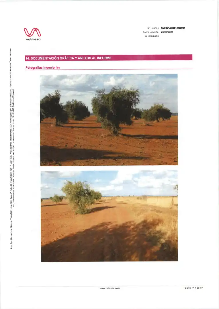 Terreni e lotti in vendita a Pedanías de Badajoz, imagen 9