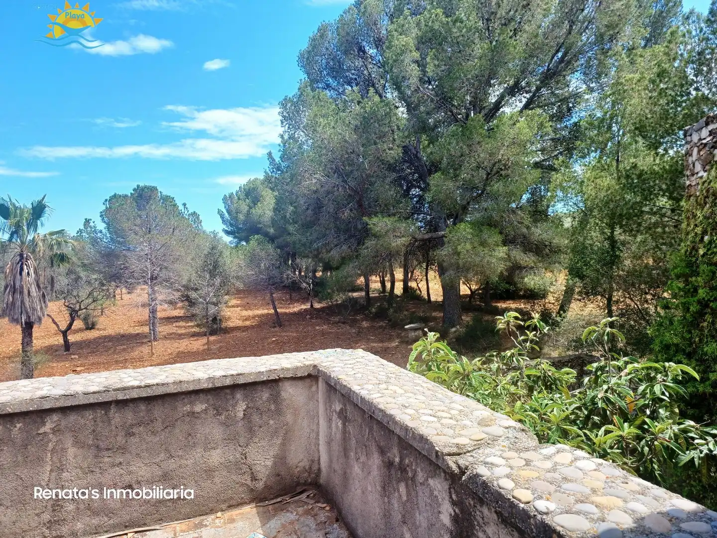 Finca rústica en venta en PEÑISCOLA, Las Atalayas - Urmi - Cerro de Mar