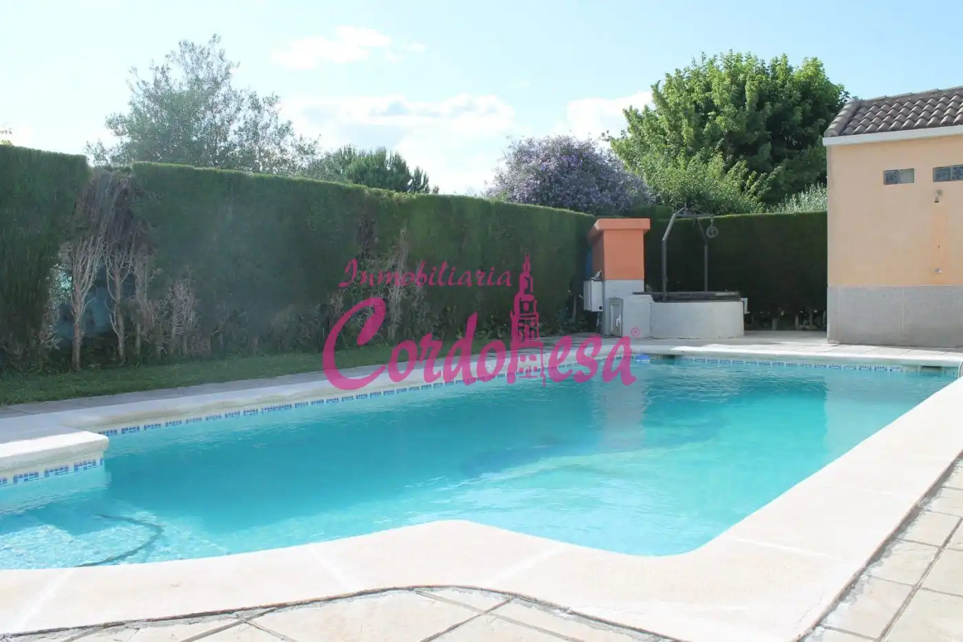 Swimming pool of Country homes for sale in Córdoba  with Air Conditioner, Private garden and Terrace