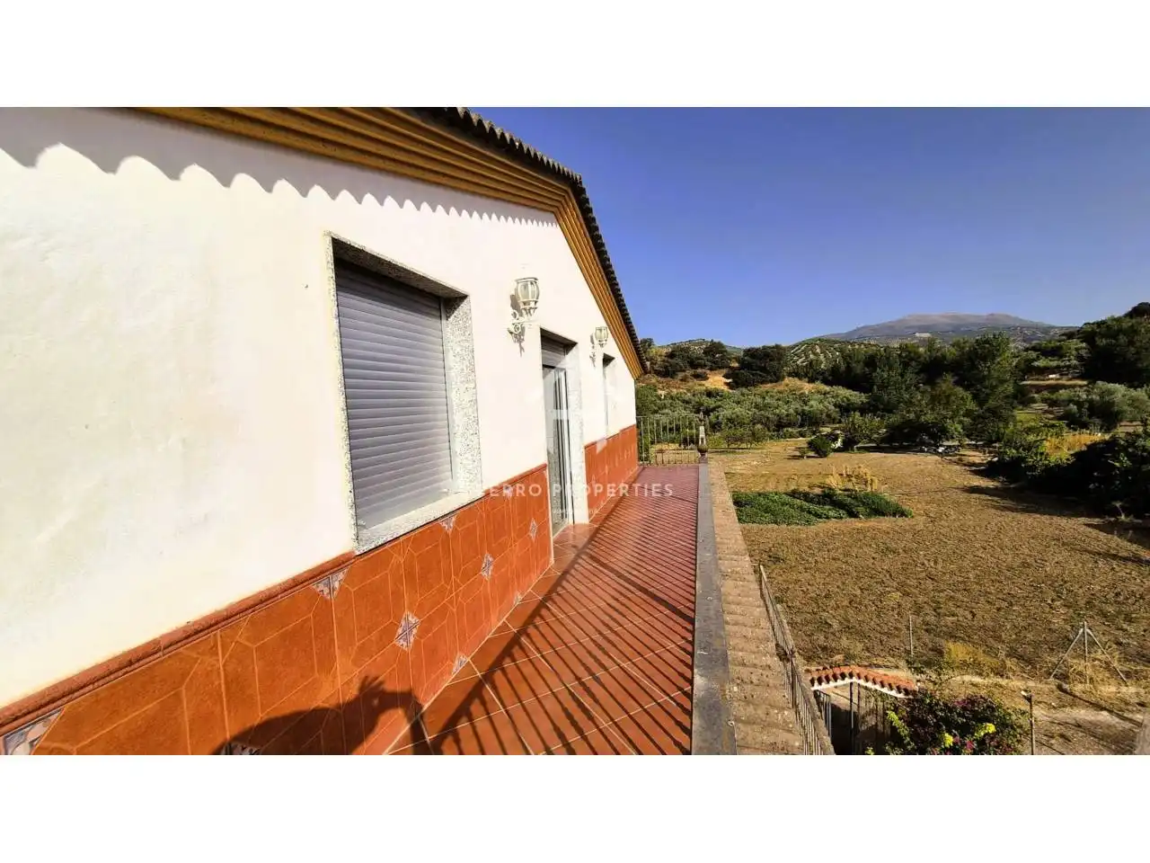 Vista exterior de Casa o xalet en venda en Algarinejo amb Jardí privat, Terrassa i Moblat