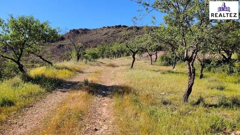 Rural land for sale in Felix, imagen 20