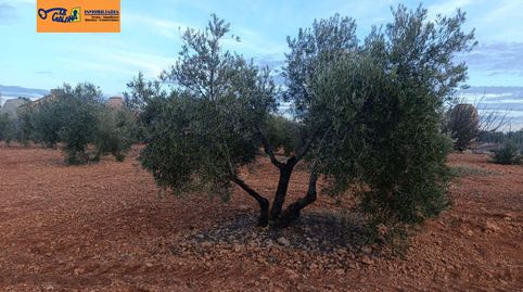 Foto 5 de Finca rústica en venta en Valdepeñas, Ciudad Real