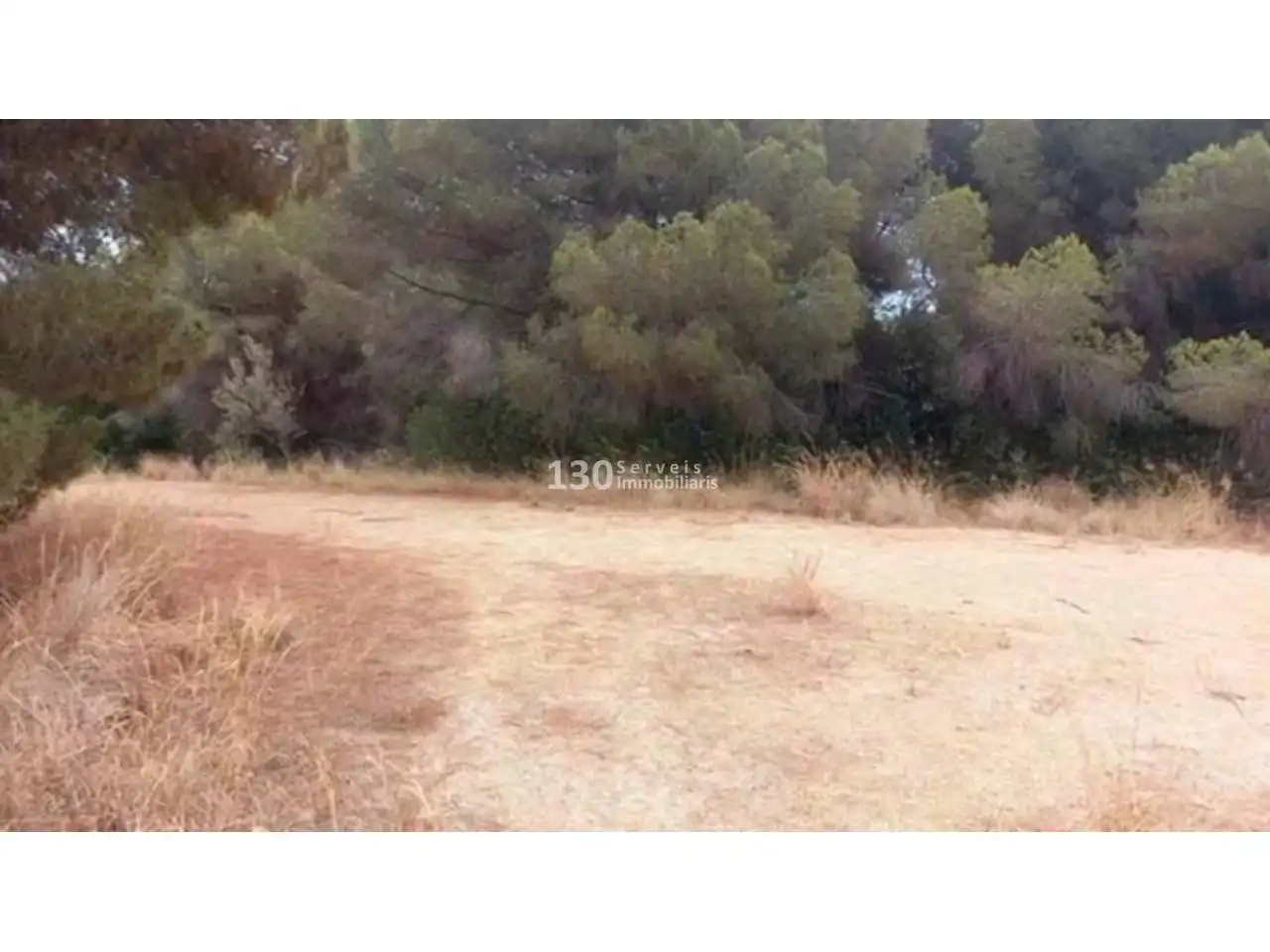 Terreno rustico in vendita a Camino Arenys de Munt a Canet, imagen 5