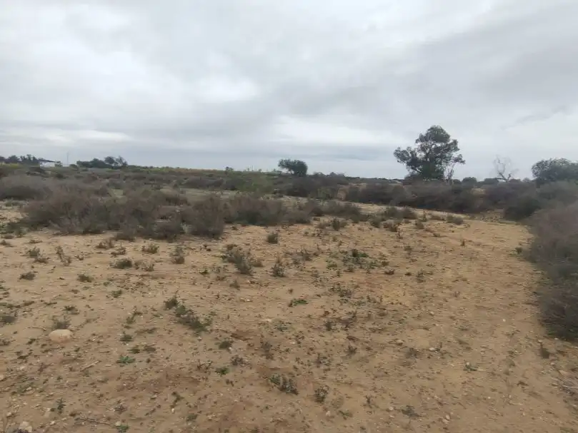 Terreno rustico in vendita a CV-860 1, imagen 6