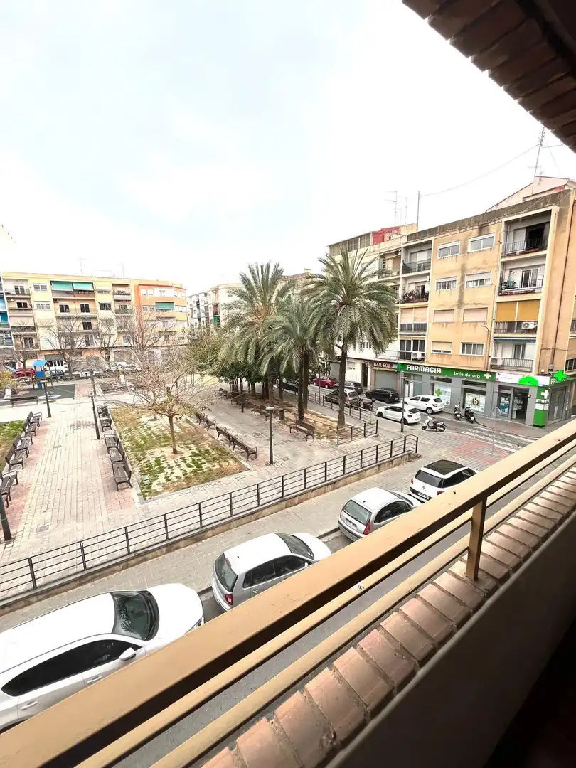 Pis amb terrassa en venda a Pla - Carolinas