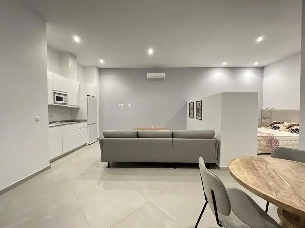 Loft de alquiler en Centro