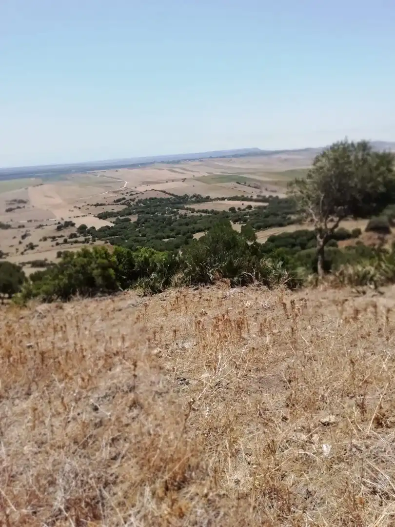 Casa rústica en venda a Medina Sidonia, imagen 3