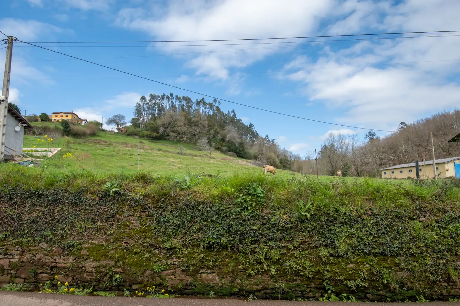 Terreno rustico in vendita a Maoxu, imagen 2