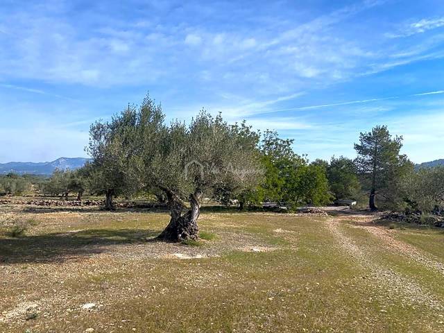Terreno en Venta en Planas en El Perelló