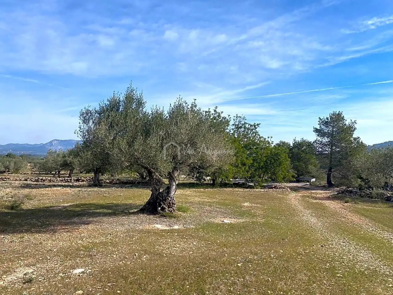 Terreno rustico in vendita a Planas