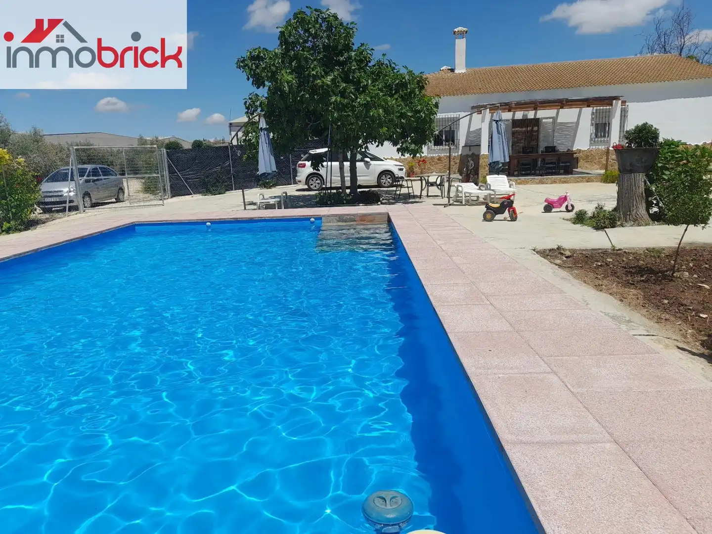 Swimming pool of Houses for rent in Lucena