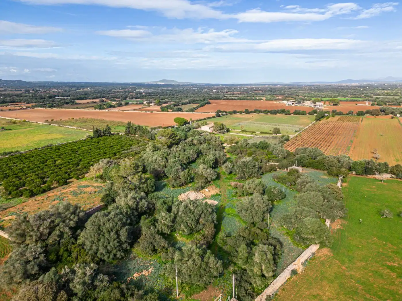 Residential land for sale in S'Horta - Cas Concos des Cavaller - Es Carritxó, imagen 29