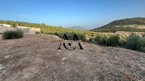 Foto 2 de Finca rústica en venta en Las Vegas - Campoaras, Lucena