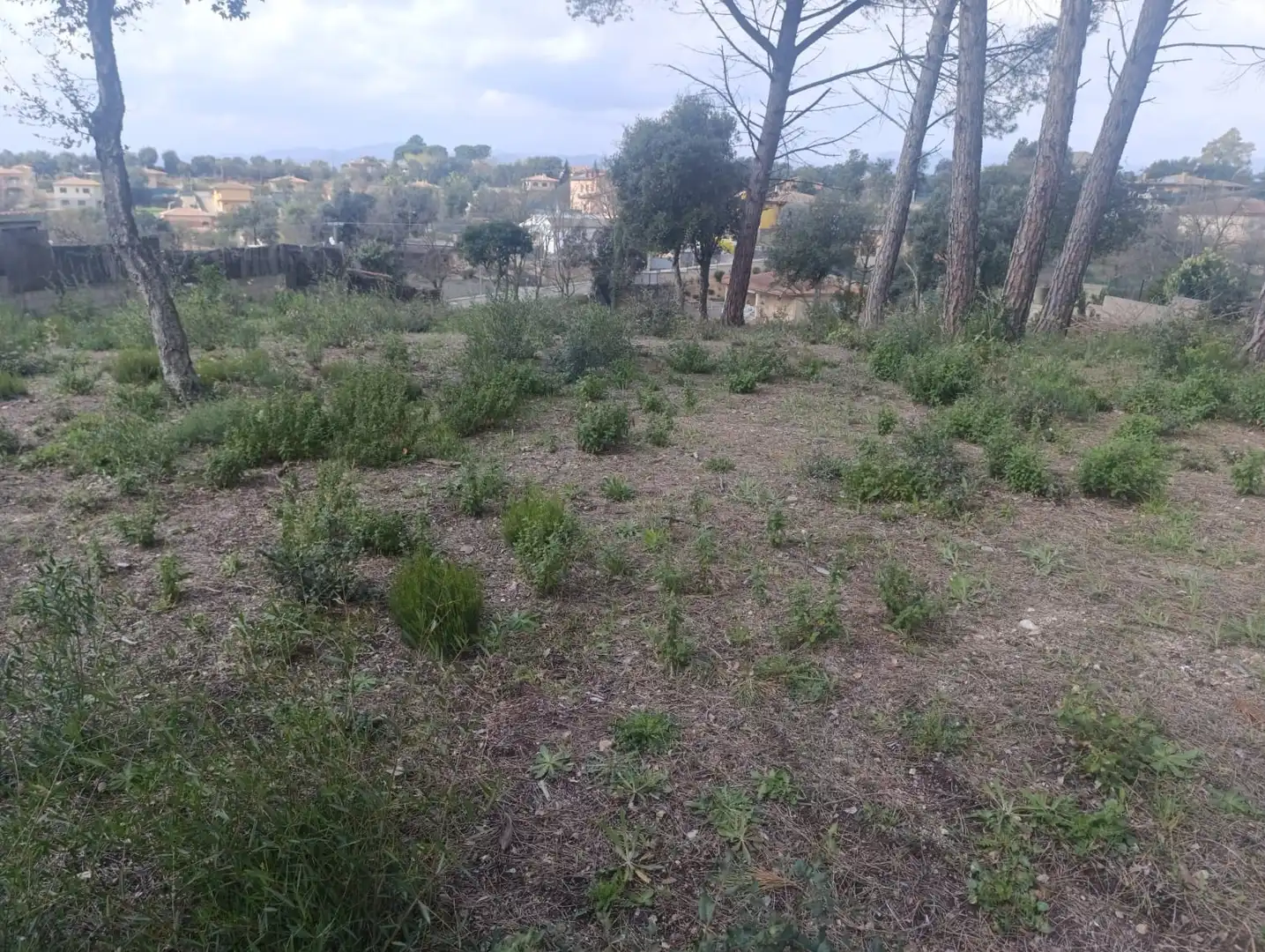 Residential land for sale in Sils, imagen 7